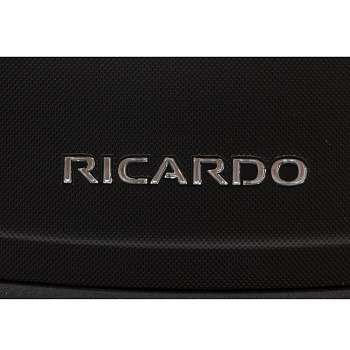 Пластиковые чемоданы Ricardo  - фото 8