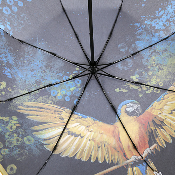 Стандартные женские зонты  - фото 142