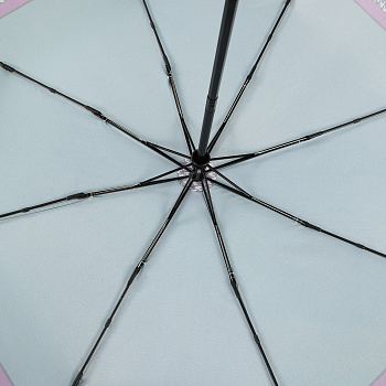 Стандартные женские зонты  - фото 124