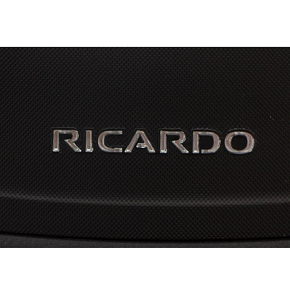 Товары бренда RICARDO - фото 23