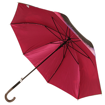 Зонты женские Розовые  - фото 115