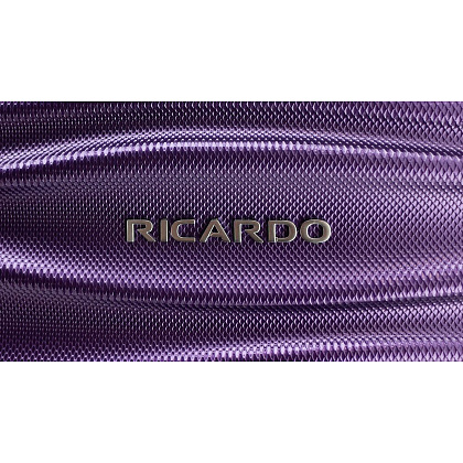 Товары бренда RICARDO - фото 38