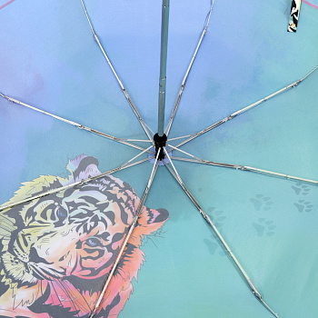 Зонты женские Зелёные  - фото 129