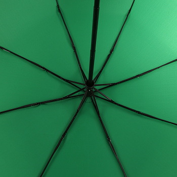 Зонты женские Зелёные  - фото 84