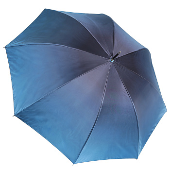 Зонты Синего цвета  - фото 39