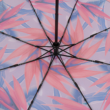 Зонты женские Красные  - фото 106