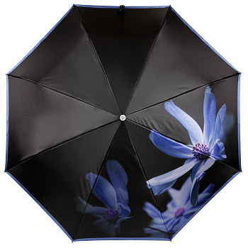 Зонты Синего цвета  - фото 62