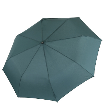 Зонты Зеленого цвета  - фото 1